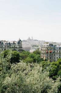 Buildings in city