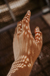 Low angle view of sunlight falling on human hand at home