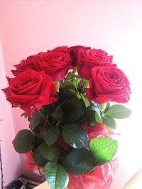 Close-up of red roses