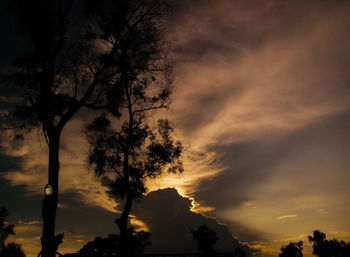 Silhouette of trees against cloudy sky