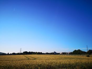 Scenic view of agricultural field against clear blue sky