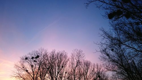 Low angle view of bare tree against sky