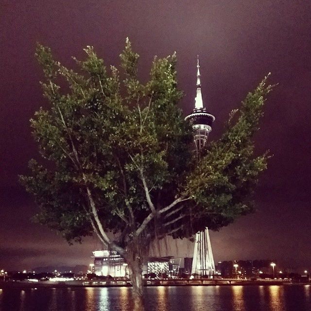 Macau Tower