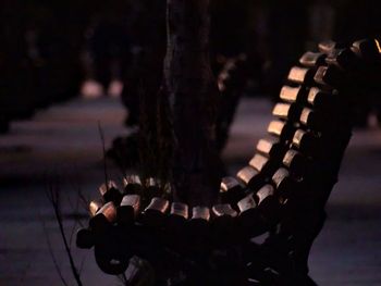 Close-up of illuminated horse at night