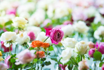 Flowers wall background with amazing multicolor roses, wedding decoration, retro filter tone.