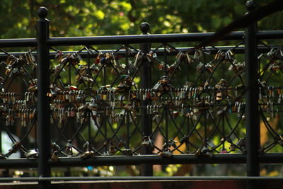 Close-up of chainlink fence