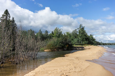 Scenic view of beach against sky