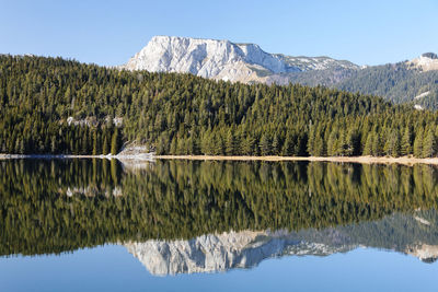Scenic view of lake by trees against sky