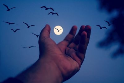 Cropped image of person flying bird against blue sky