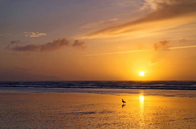 Scenic view of sunset over sea