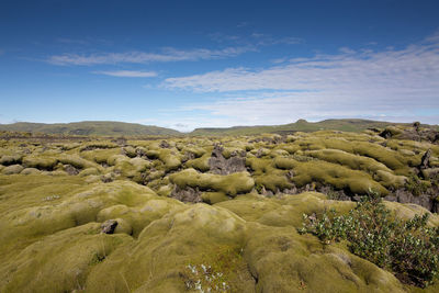 Moss covered rocks on landscape against sky