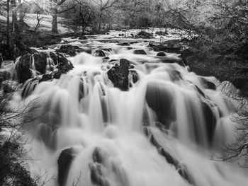 Scenic view of waterfall in forest