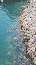 High angle view of leaves floating on water