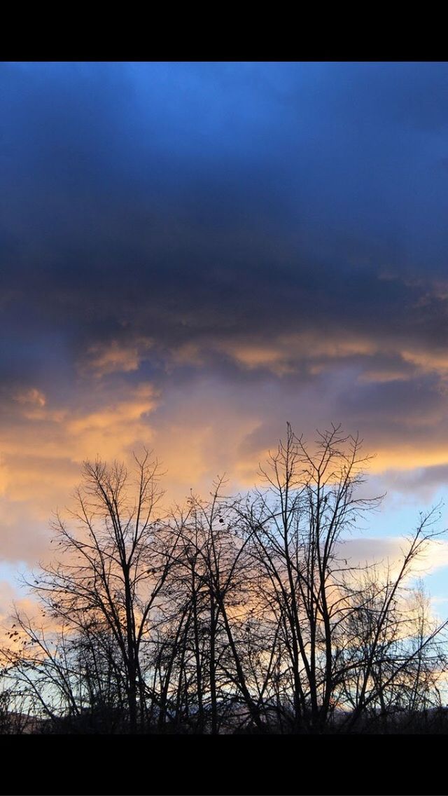 sunset, bare tree, silhouette, sky, cloud - sky, beauty in nature, low angle view, branch, scenics, tree, tranquility, nature, tranquil scene, orange color, cloud, cloudy, dramatic sky, transfer print, auto post production filter, dusk