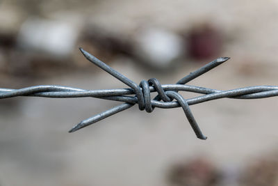 Wire with clusters of short, sharp spikes set at intervals along it, used to make fences