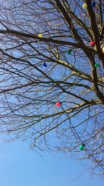 Low angle view of bare tree against sky
