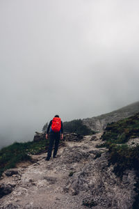 Rear view of man walking on beach