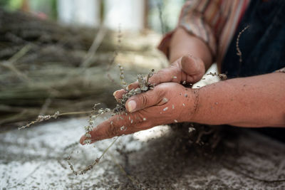 Cropped hand of man holding water