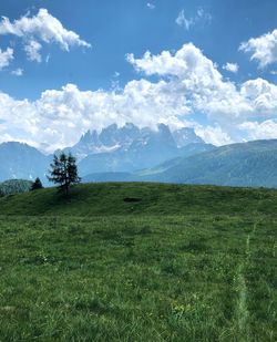 Scenic view of field against sky