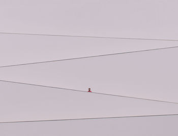 Low angle view of birds perching on cable against sky