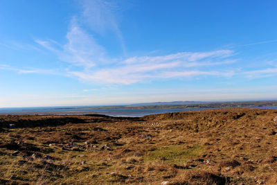 Scenic view of landscape against blue sky