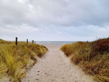 Way to baltic sea coast