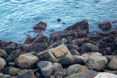 Rocks on sea shore