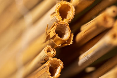 Close-up of dessert on wood