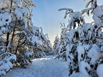 snow