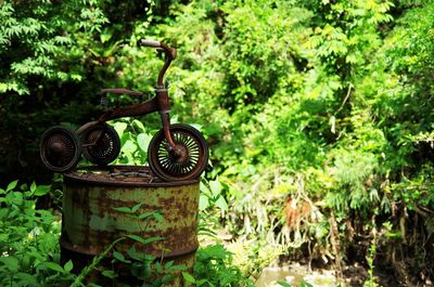 Rusty tricycle on old metallic barrel in forest