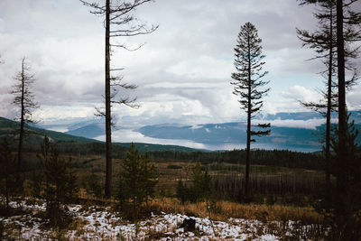 Scenic view of landscape against sky during winter