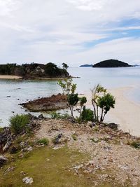 Scenic view of beach against sky