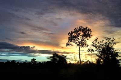 Silhouette trees against sky during sunset