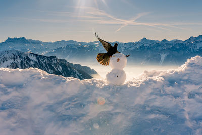 Bird flying by snowman during winter