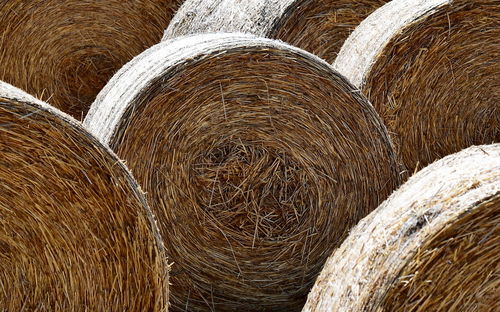 Full frame shot of hay bales on field