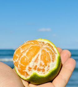 Close-up of hand holding fruit