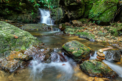 Scenic view of waterfall in forest