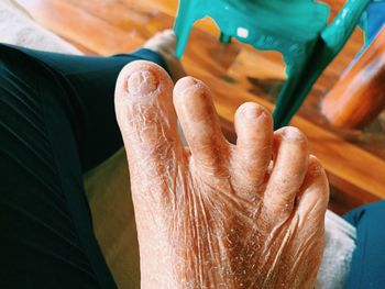 Close-up of hand holding leaf