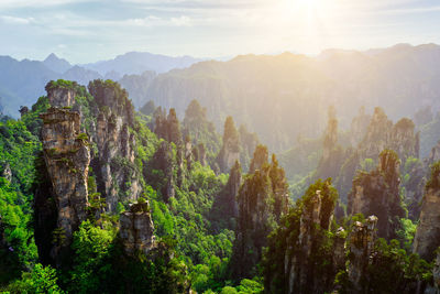 Panoramic view of trees and mountains against sky