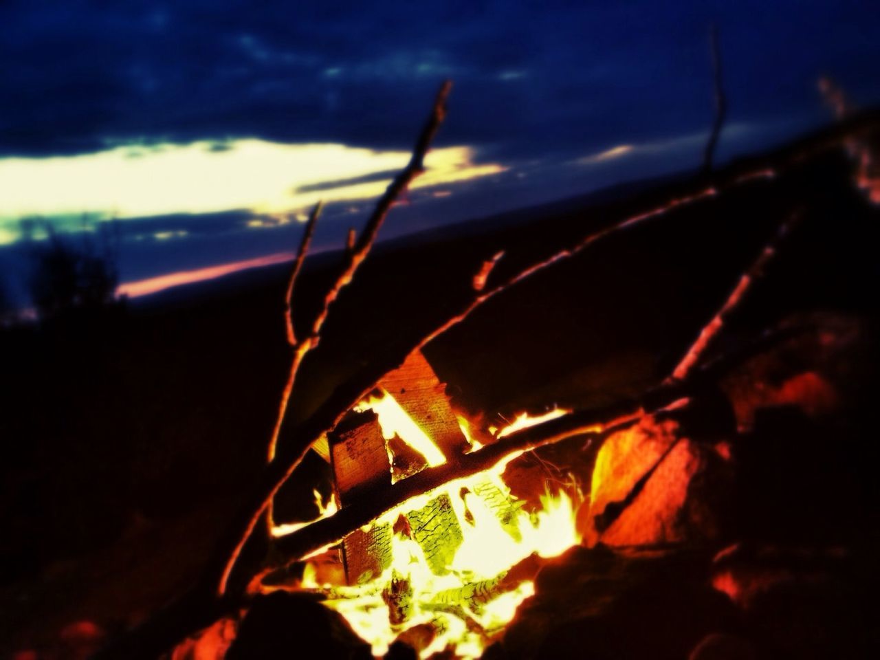 close-up, sky, sunset, silhouette, plant, selective focus, focus on foreground, nature, tranquility, dusk, leaf, outdoors, night, beauty in nature, no people, growth, cloud - sky, sunlight, dark, twig