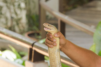 Close-up of person hand holding railing