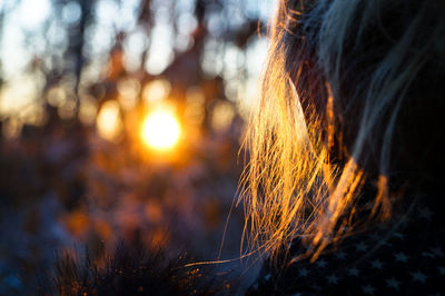 Close-up of person at sunset