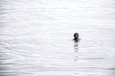 Full length of swimming in lake