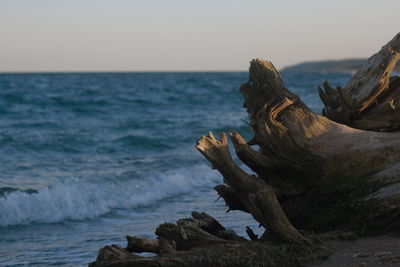 Scenic view of sea against clear sky