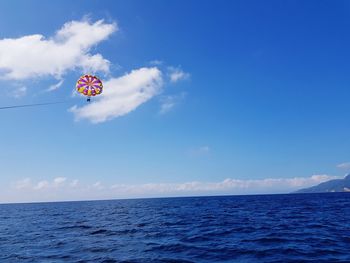 Low angle view of kite flying over sea against sky. paradailing.