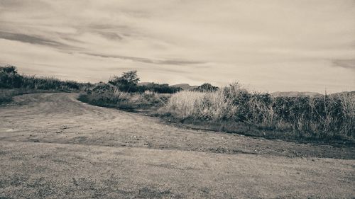 Scenic view of field against cloudy sky