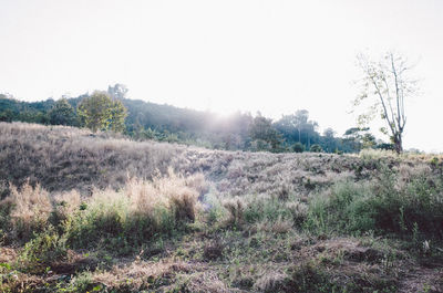 Scenic view of land against clear sky