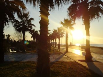 Silhouette palm trees at beach during sunset