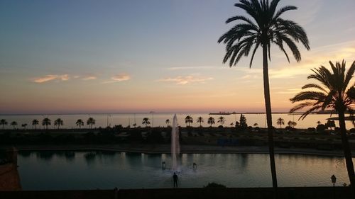 Silhouette birds perching on calm sea at sunset