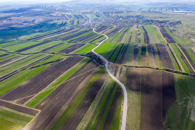 High angle view of agricultural field